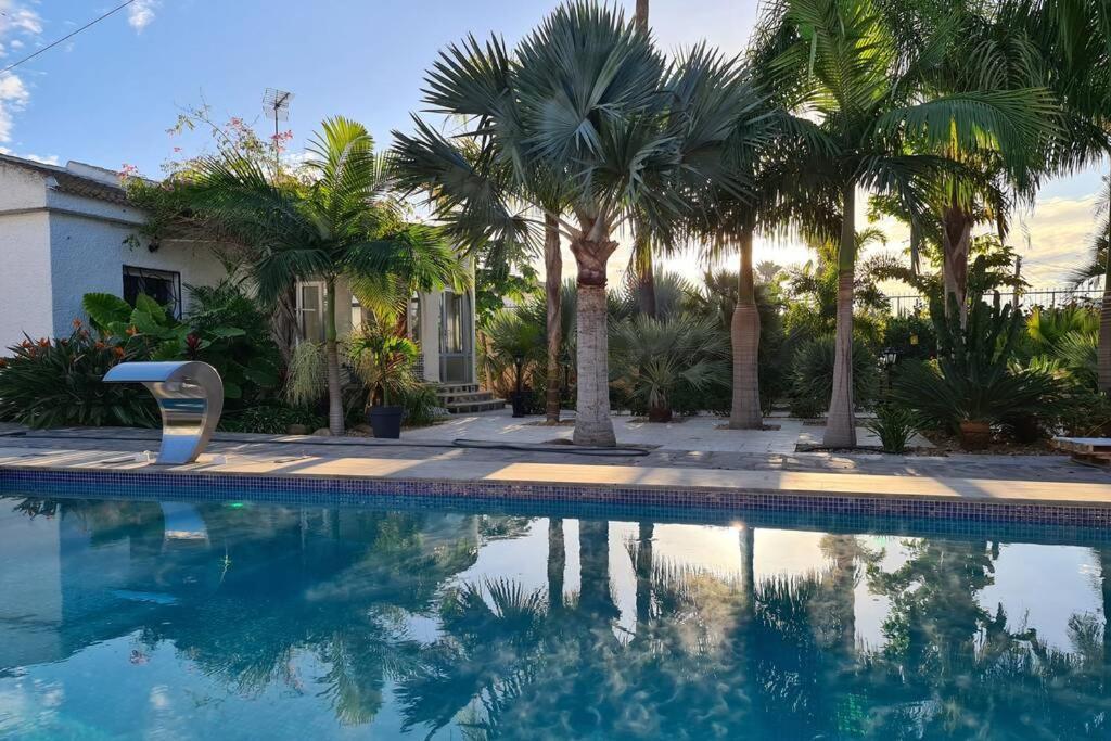 Tropical Paradise Villa In 또레비에하 외부 사진