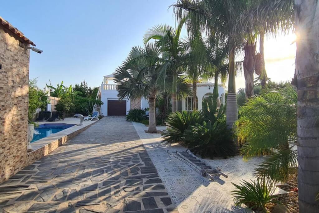 Tropical Paradise Villa In 또레비에하 외부 사진
