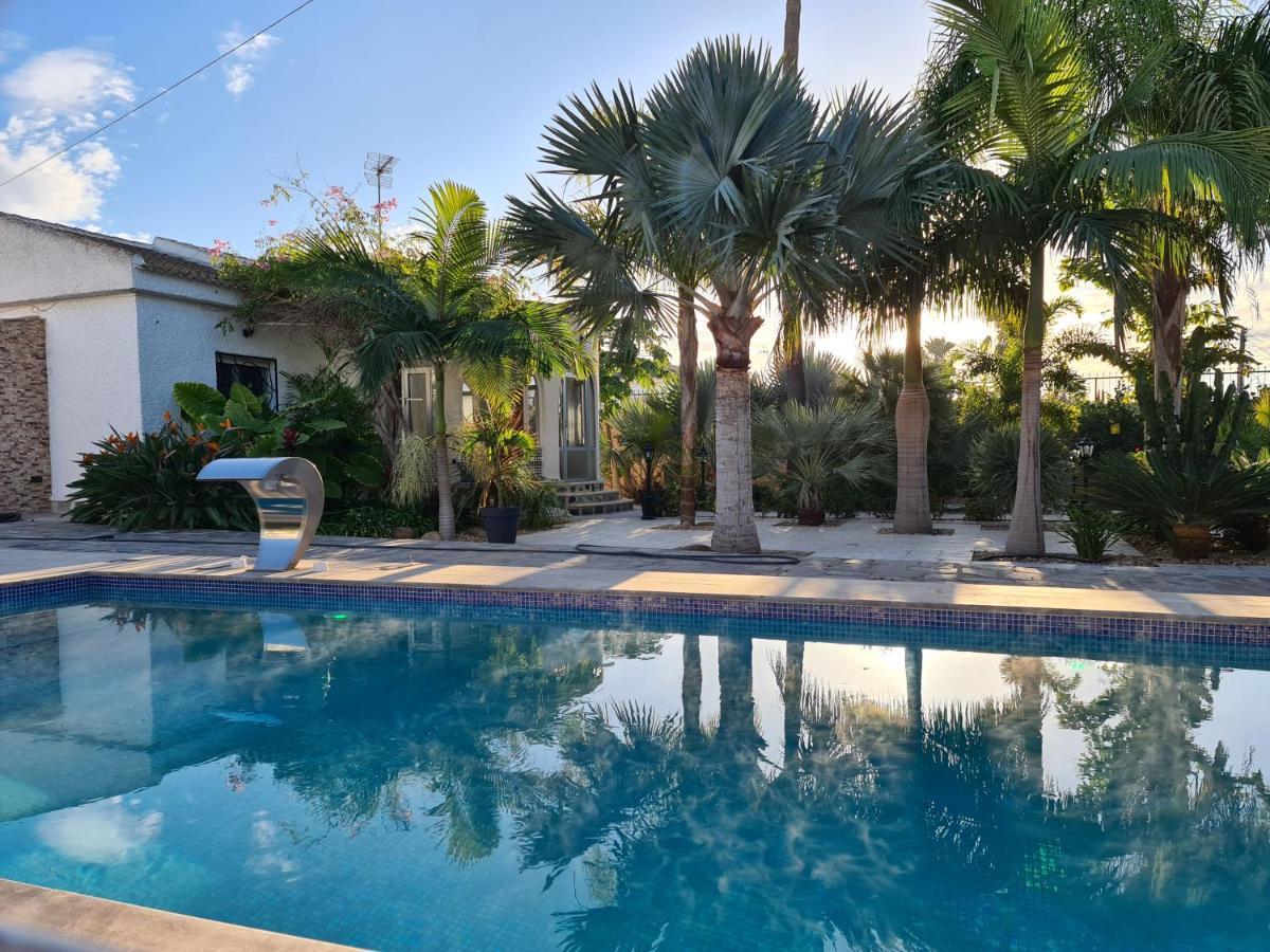 Tropical Paradise Villa In 또레비에하 외부 사진